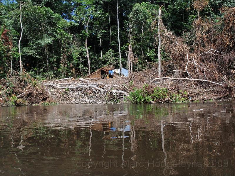 09 Illegal logging operation of apotre on Lukenie river in Bolingo forest.jpg